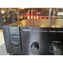 YAMAHA PRE C-40 FINALE M-40 in classe A