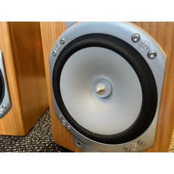 MONITOR AUDIO SILVER RS-1