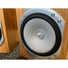 MONITOR AUDIO SILVER RS-1